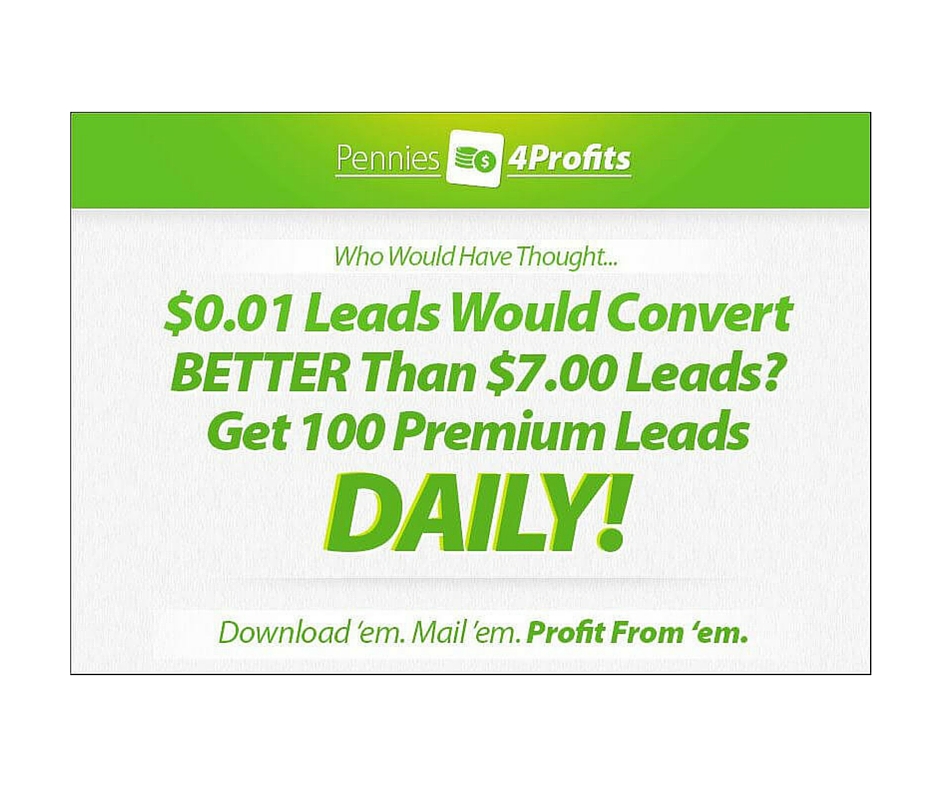 From Pennies To Profits What To Do With 4000 Pennies - v8c0six